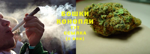 mix Богородицк